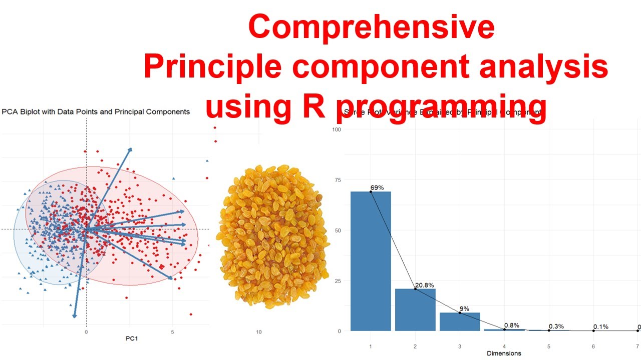 Master Principal Component Analysis (PCA) in R: Simplifying Complex Datasets