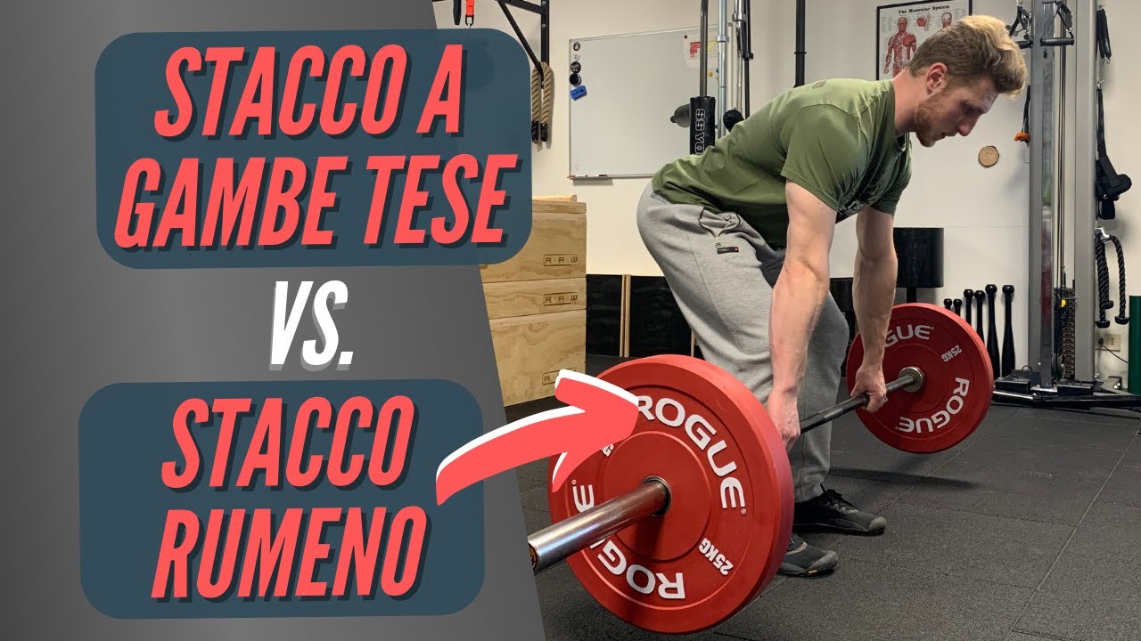 STACCO A GAMBE TESE E STACCO RUMENO | Differenze e utilizzi
