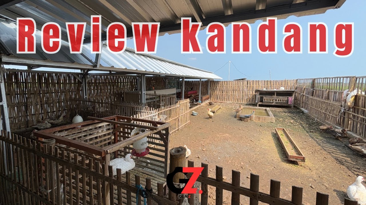 KANDANG ENTOK MODERN