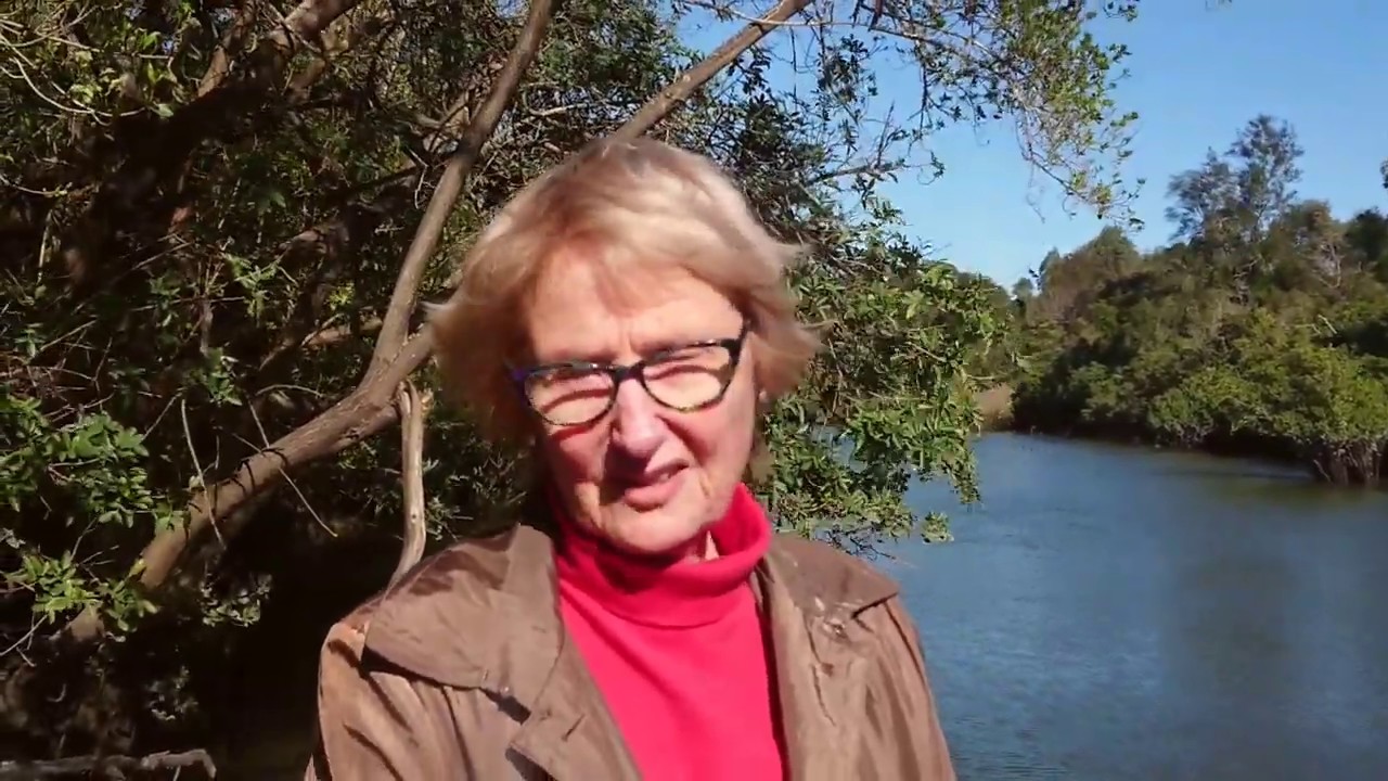 Oxley Creek Common: Water quality monitoring with Anne Clarke