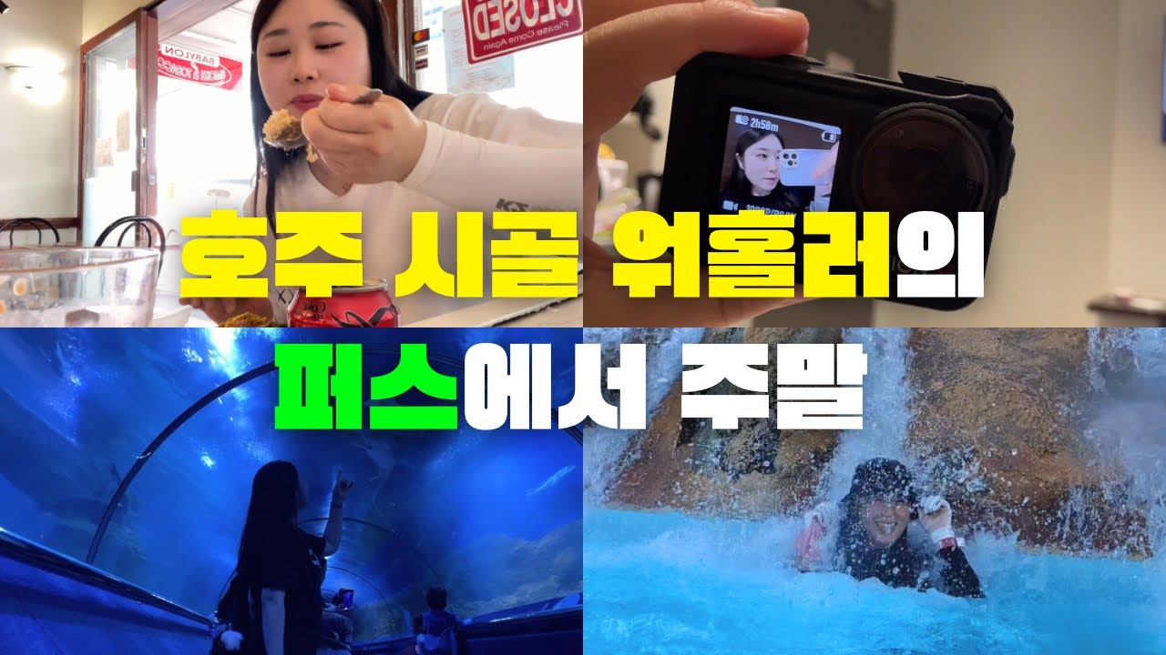 Vlogㅣ호주 워홀ㅣ어드벤쳐 월드 • 서호주 아쿠아리움 • DJI 액션5 구매