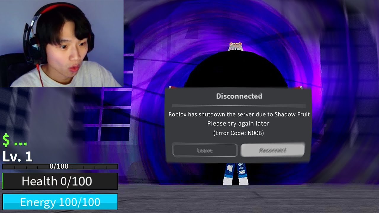 Shadow fruit crashed Roblox servers... Blox Fruits
