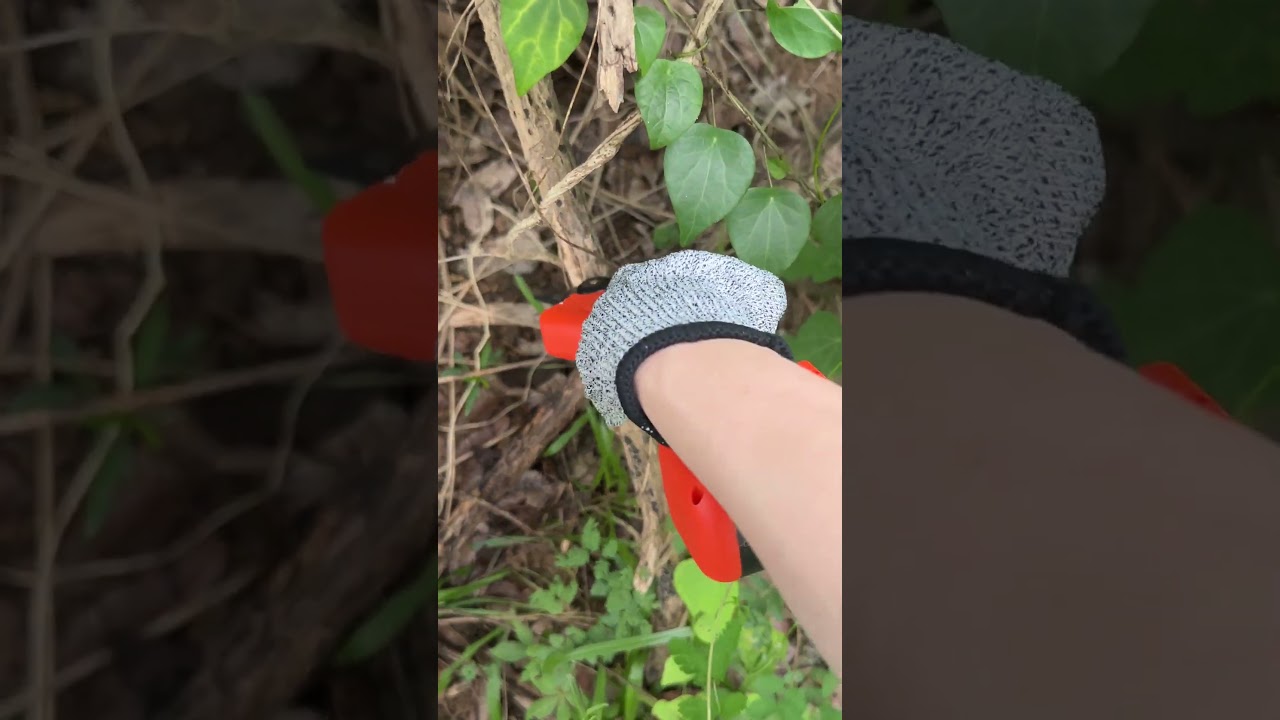No more struggling with thick branches #pruning #gardeningequipment #gardeningtools