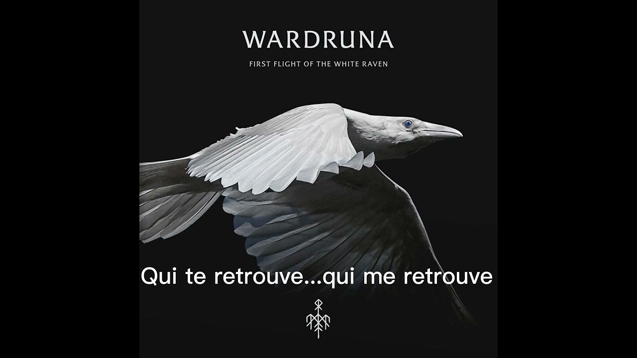 Kvitravn French