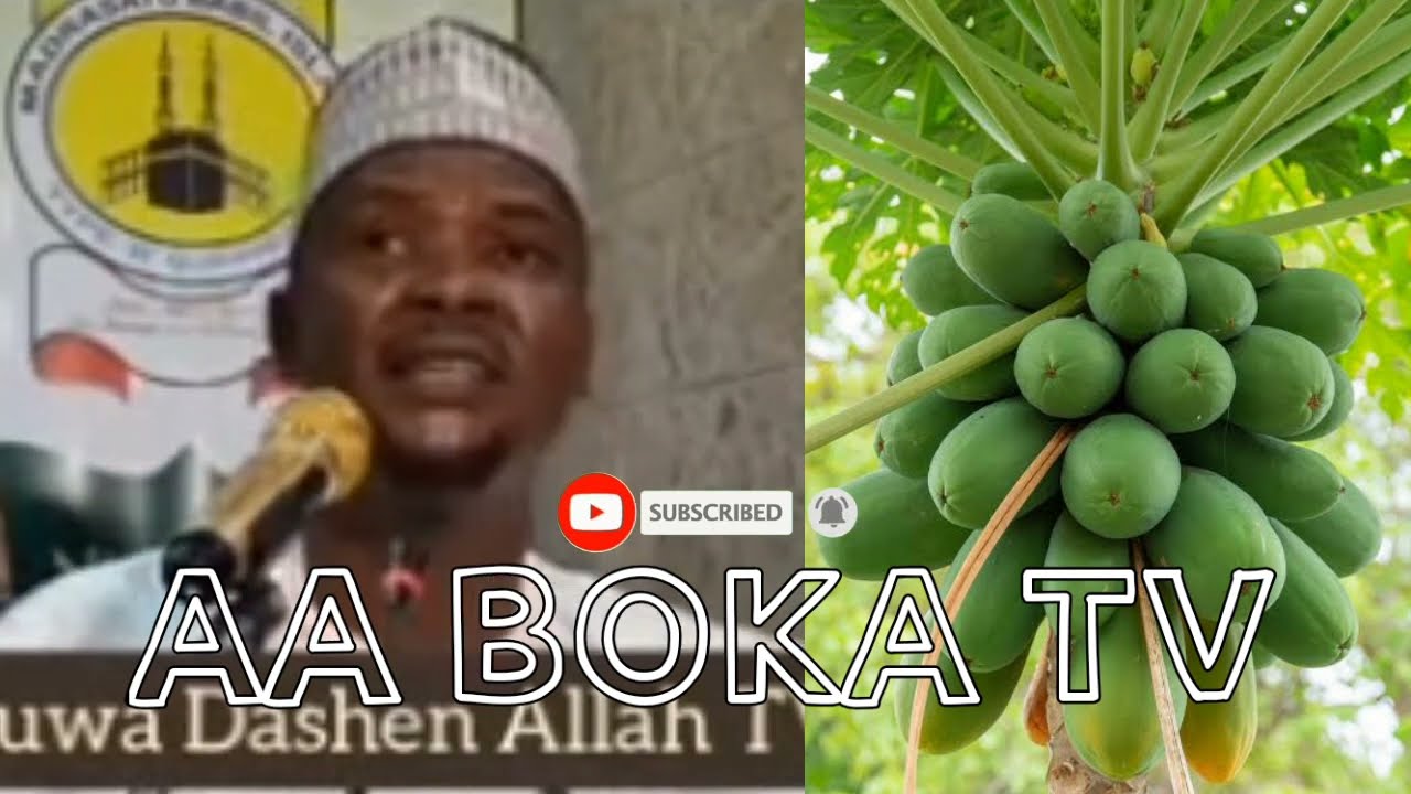 Amfanin Ganyen Gwanda Mata da Maza Sheikh Abdulwahab gwani bauchi