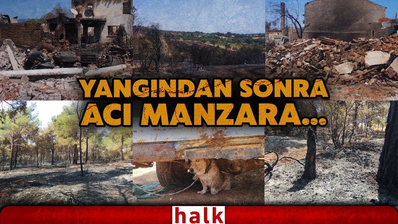 İTFAİYE ARACI KÜL OLDU! Çanakkale'de orman yangınında acı tablo böyle görüntülendi...