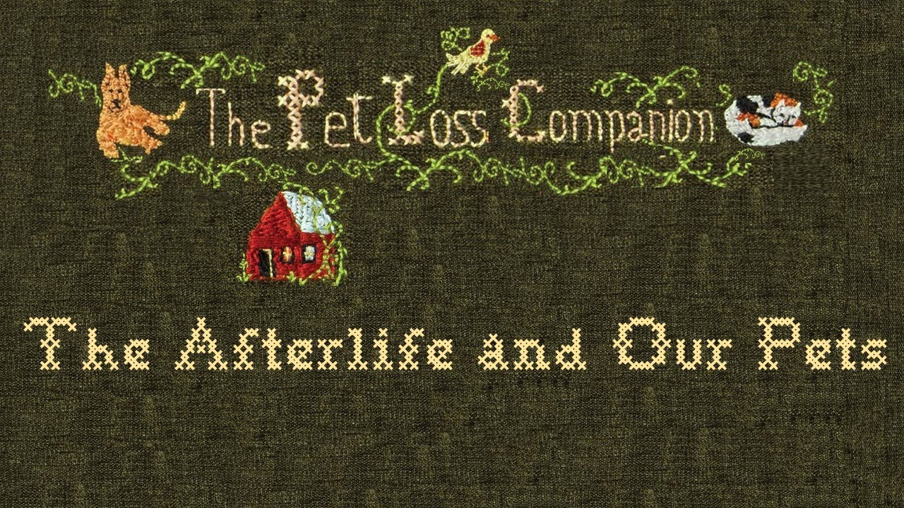Ep #6 The Afterlife and Our Pets