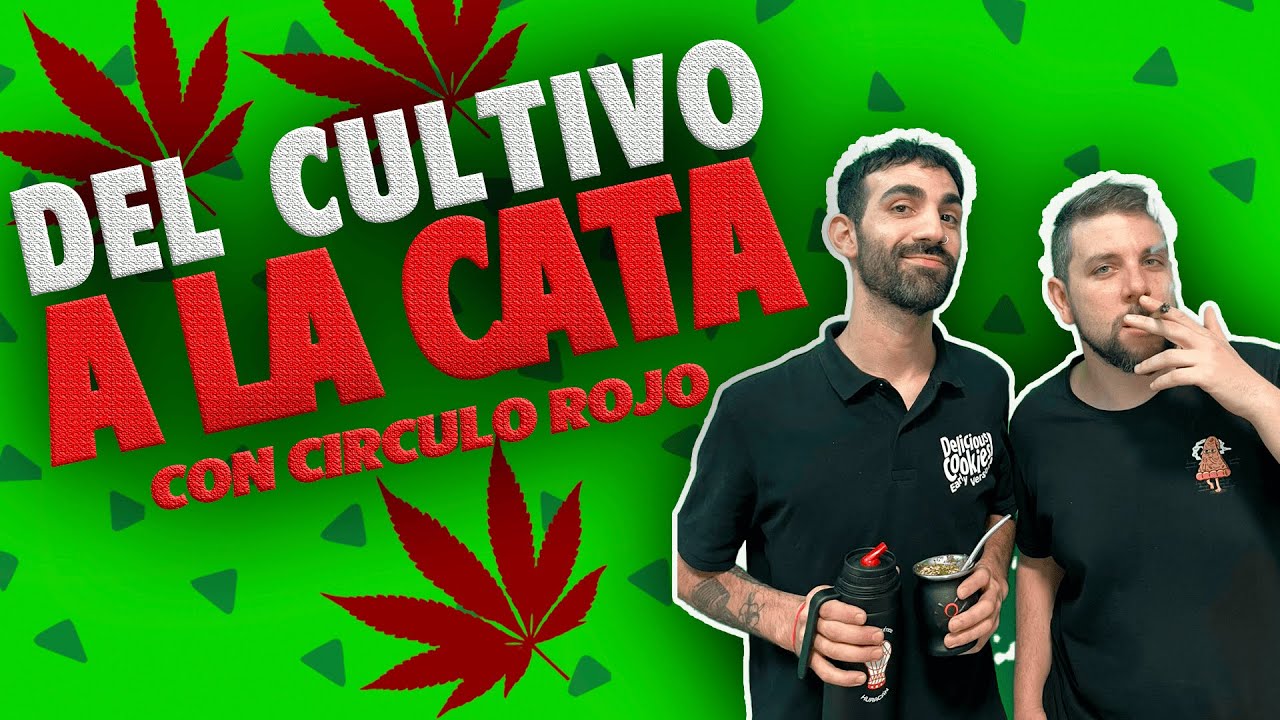 DEL CULTIVO A LA CATA: con CIRCULO ROJO | 420