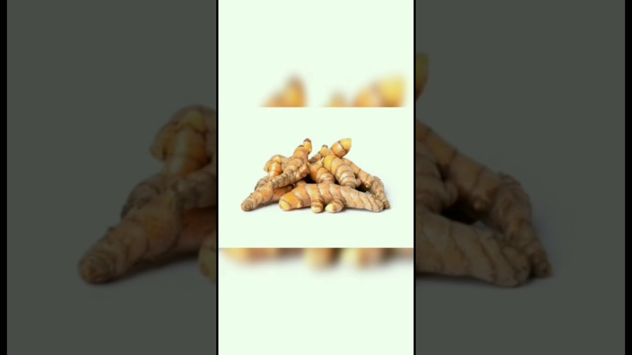 Manfaat kunyit untuk merpati#shorts #merpati #shortsvideo #shortsviral