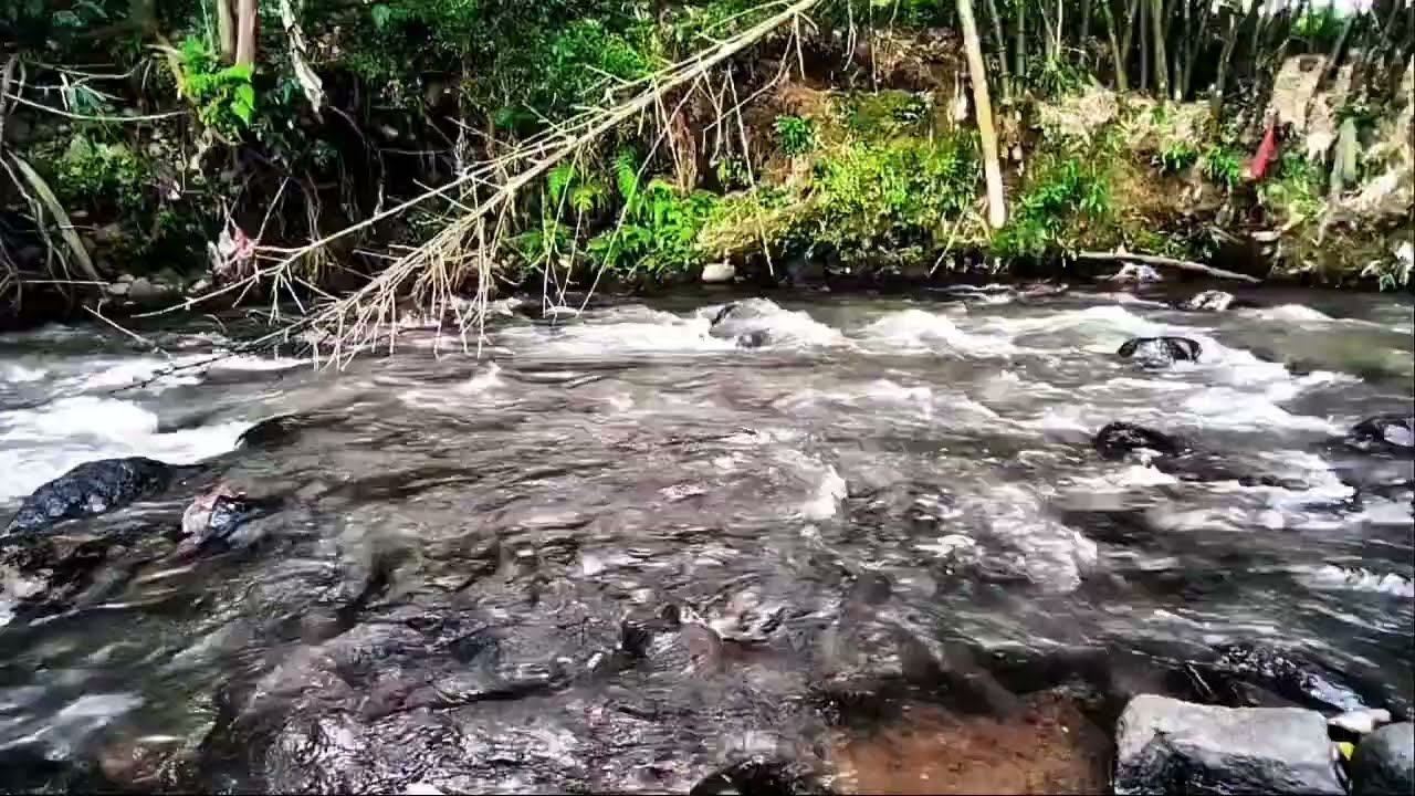 Relax and listen to the sound of nature and flowing water 