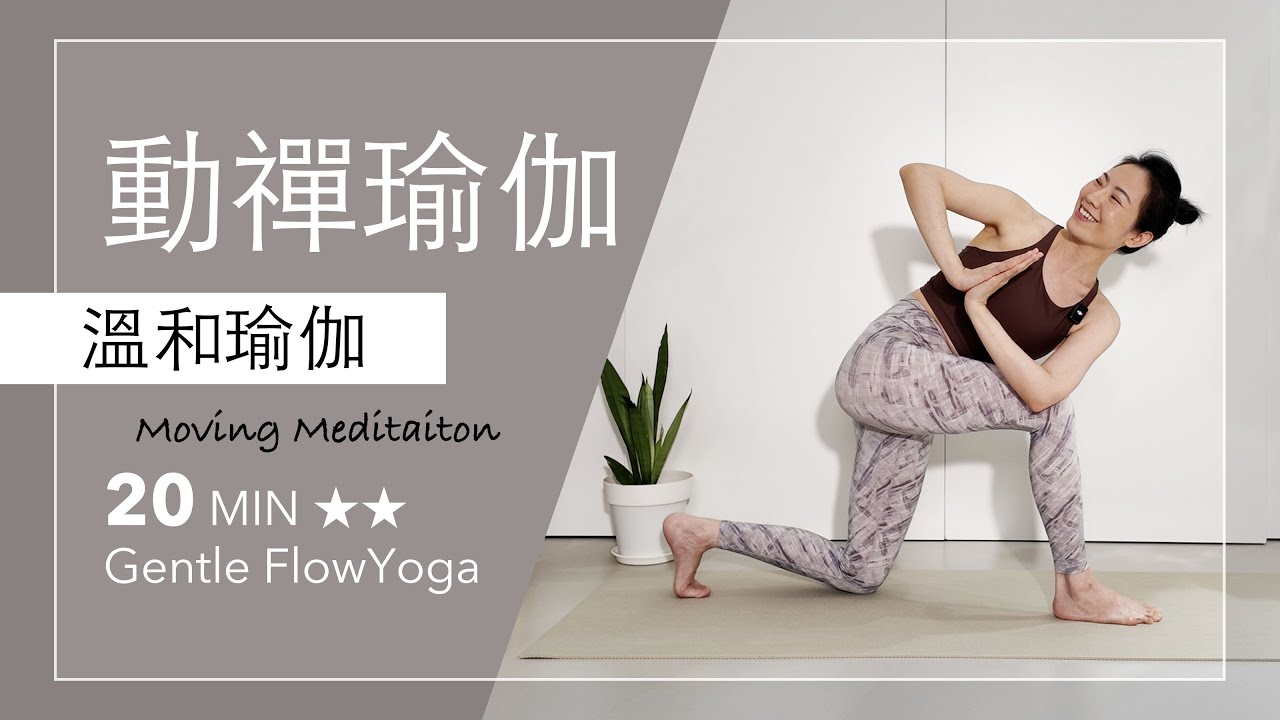 動襌瑜伽 | 動態冥想【溫和瑜伽】20分鐘 Gentle Flow Yoga ★ ★ #瑜珈 #肌力提升 #瑜珈師資培訓 #排汗 #按摩 #排毒 #yoga #stretching #core