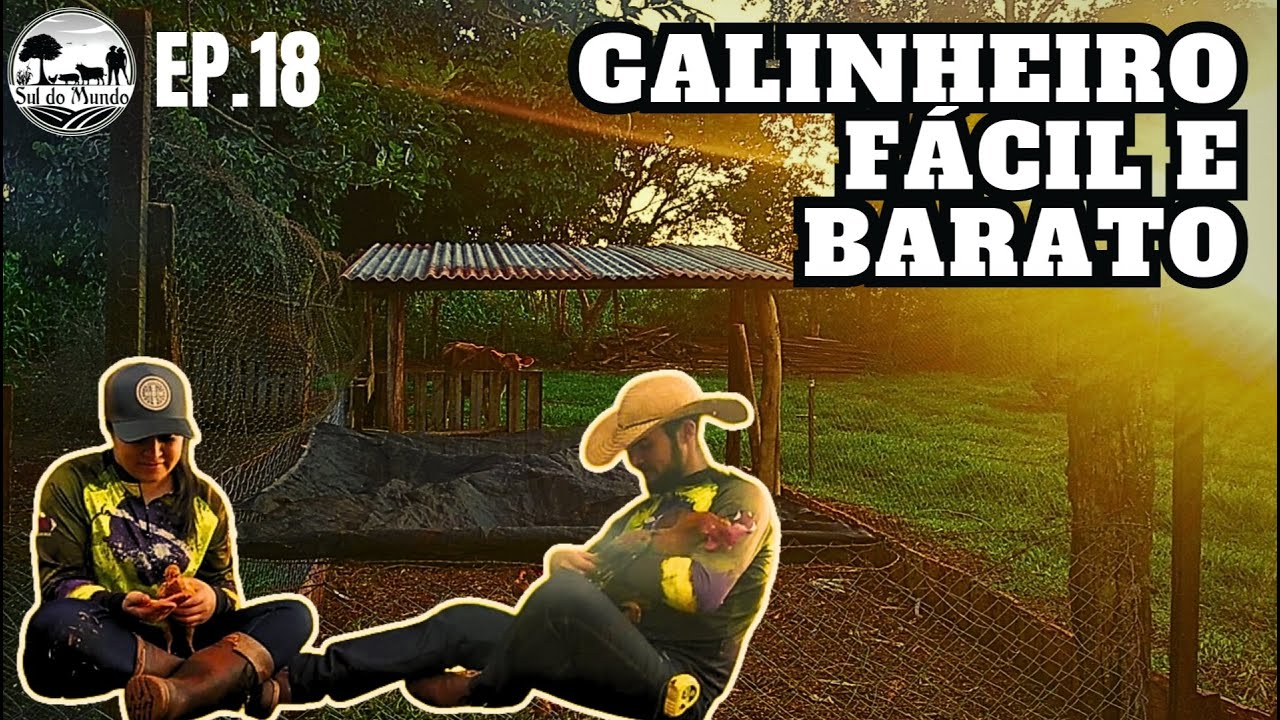 ✅ [COMO FAZER] GALINHEIRO SIMPLES E BARATO ♻