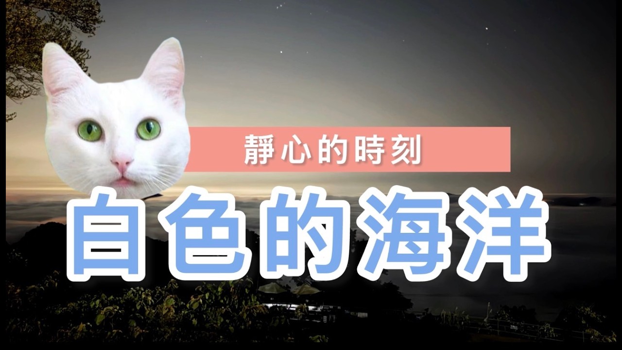 【生活錄像】雲端上的巴哈：C大調的流雲饗宴（CC字幕） #雲海 #縮時攝影 #巴哈 #古典音樂 #療癒 #愛倫公主 #timelapse  #bach