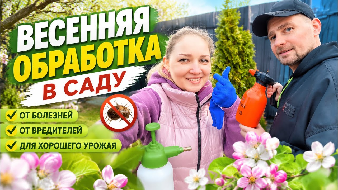Влог! Вестники весны! Ремонт обуви! Бизнес на колесах! Весенняя обработка! 