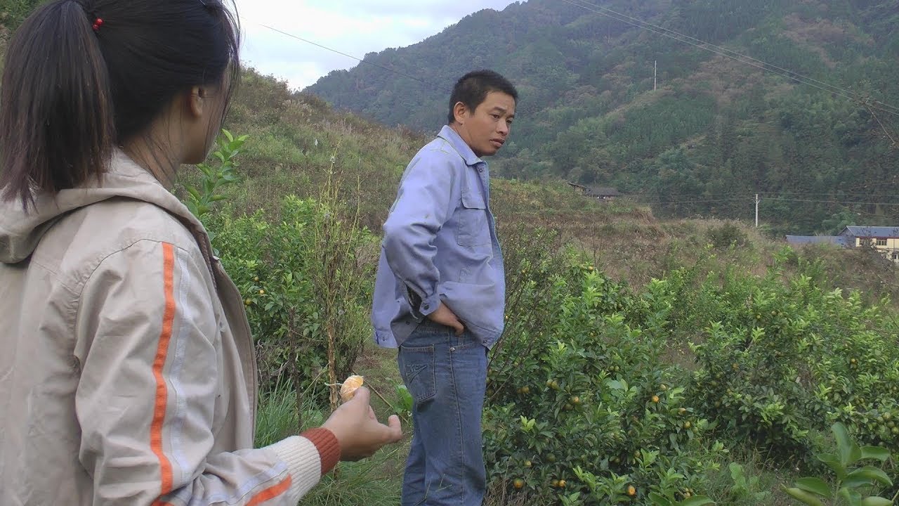 老表种了50多亩桔子，今年硕果累累大丰收，他为何还愁眉苦脸