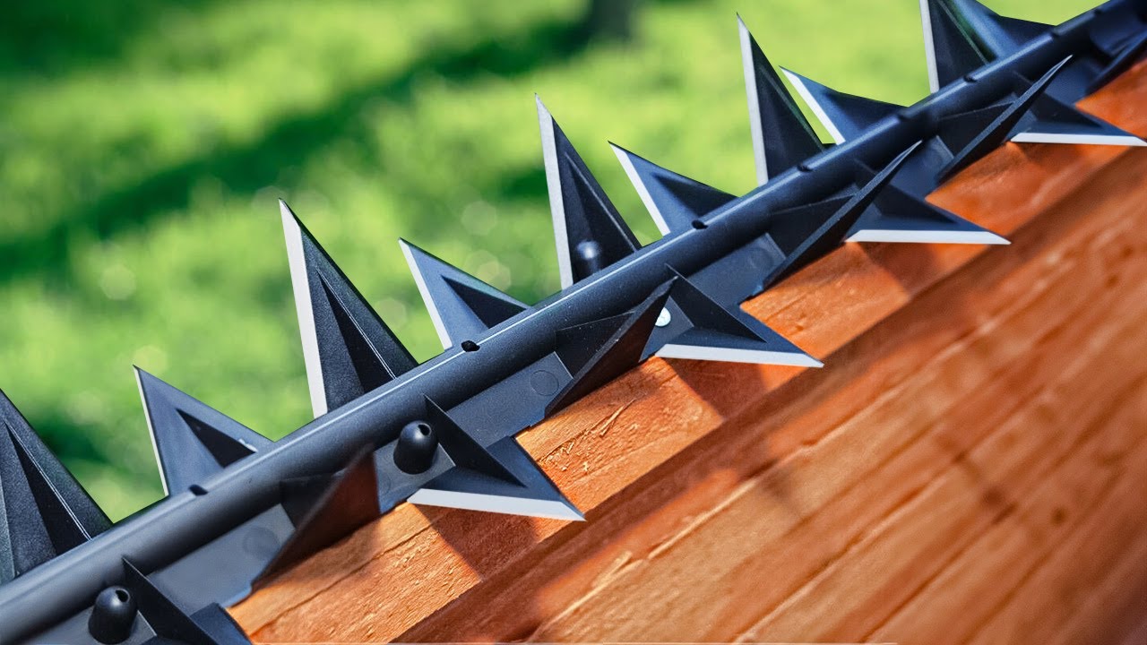 HOME DEFENSE GADGETS ON AMAZON!