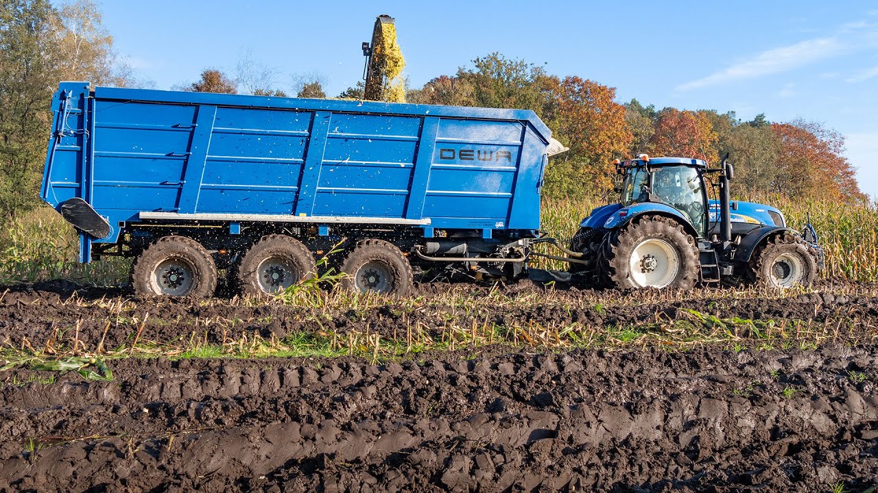 Mais 2024 / Modderen / New Holland FR700 / Joosen / Mud / Maize silage