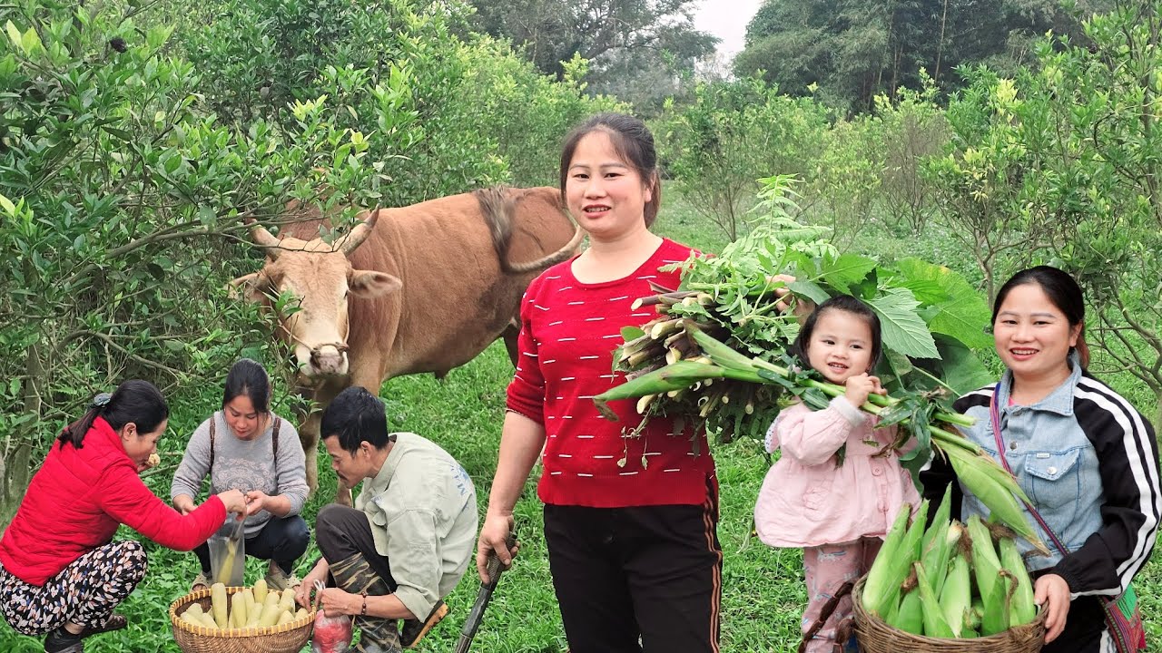 A Bountiful Corn Harvest for a Single Mom and Her Little Girl &ndash; Grandpa&rsquo;s Love and Support