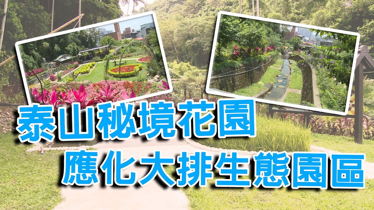 EYE台灣-泰山秘境花園 應化大排生態園區