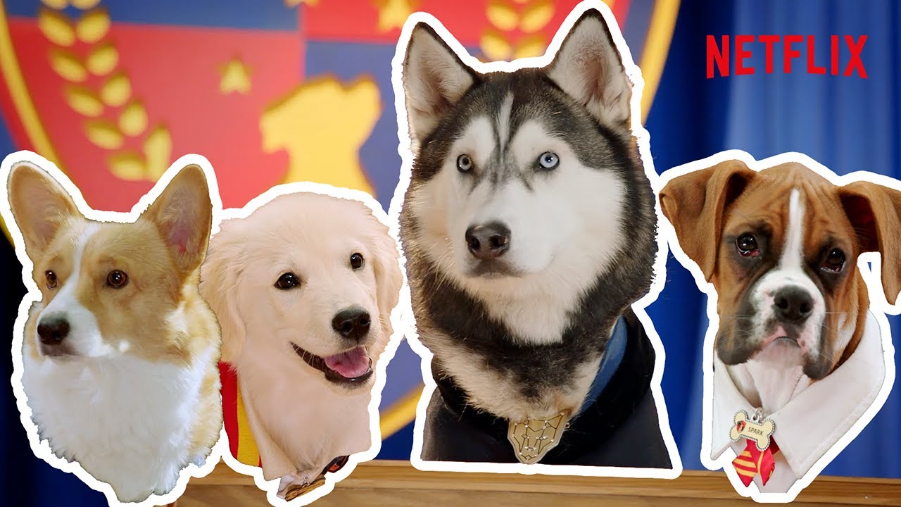 Pup Academy | Meet The Pups (Full Scene)