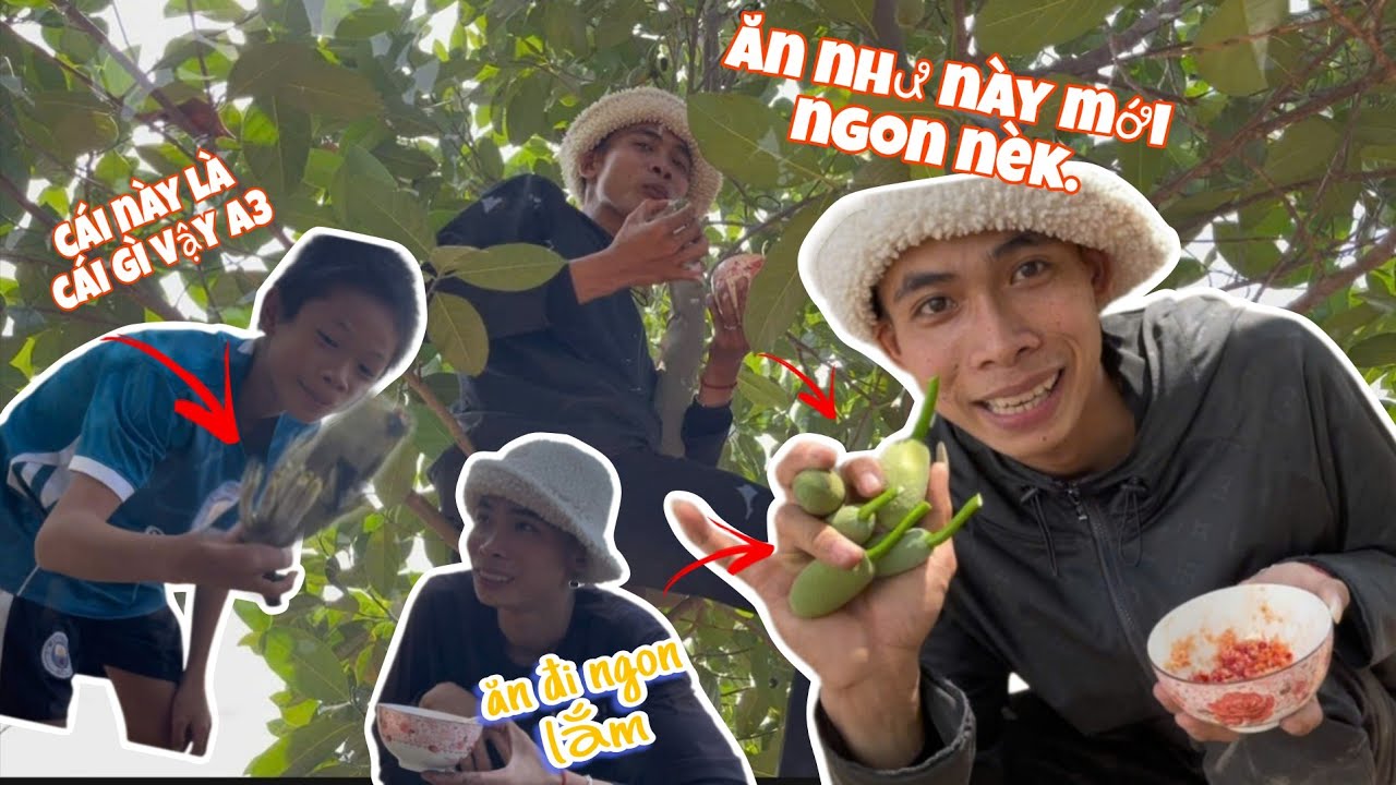 “Đặc sản” trên cây: Ăn kiểu này mới đúng chất dân chơi vườn mít! #amthucdongque #daimit #muoiot #gồm