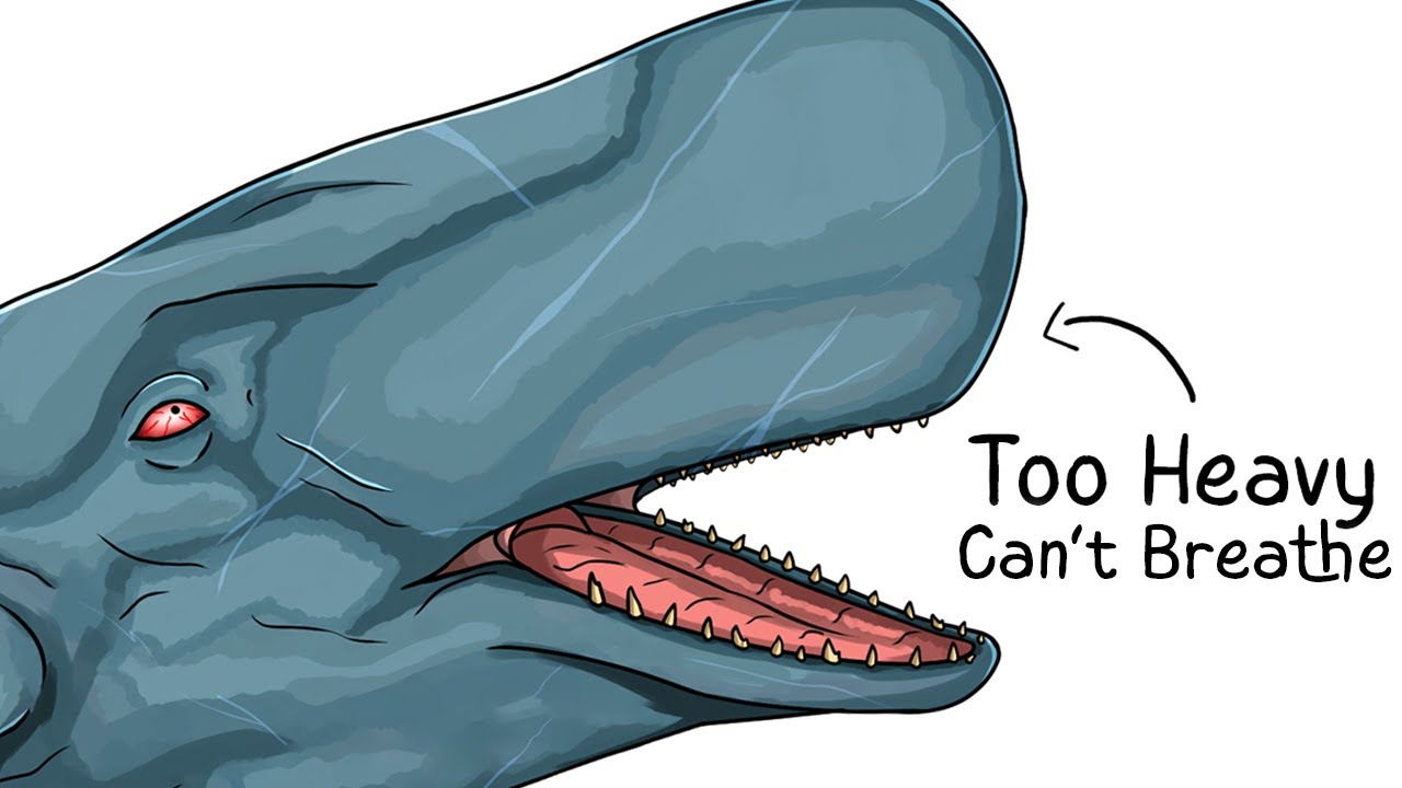 Why it Sucks To Be Born As a Sperm Whale