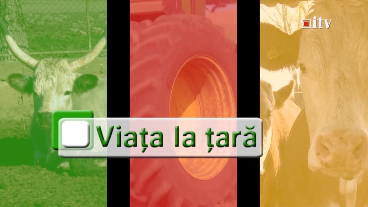 Viata la Tara cu Ioan Anitas, invitat - Ioan Pop - inginer horticol