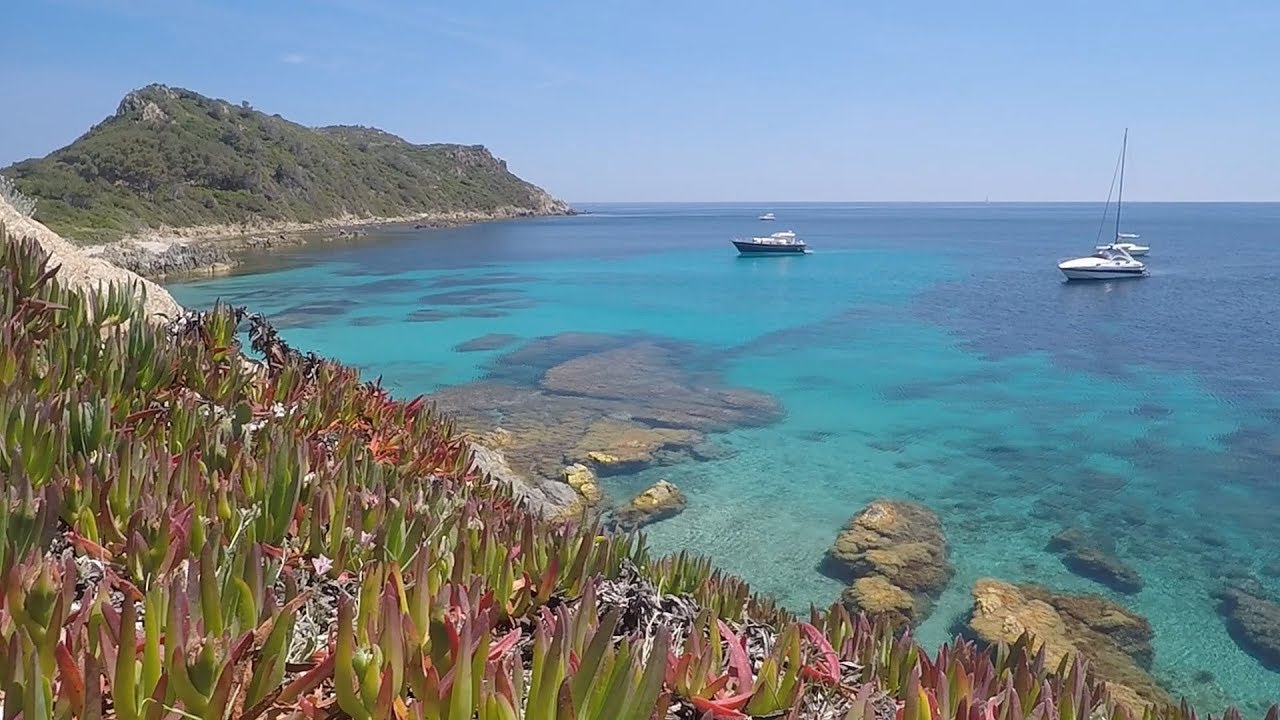- Juin 2017 - Sentier du littoral de Bormes les Mimosas au Cap Taillat en passant par le Cap Lardier