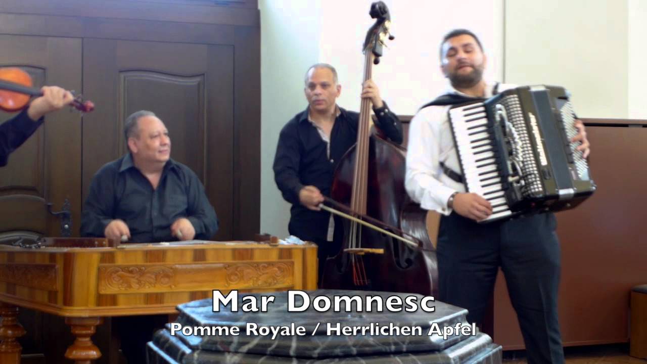 Ion Miu & George Sandu (accordeon) Kloten