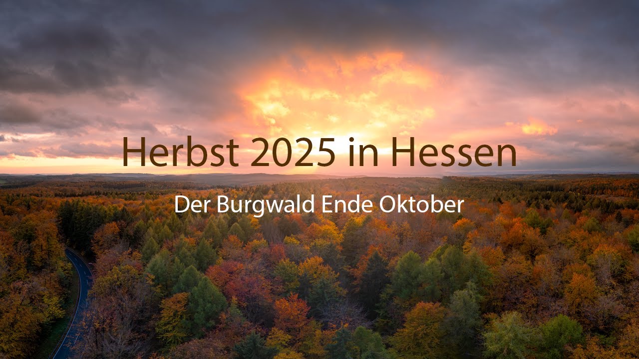 Herbstabend im Burgwald - Oktober 2025 - Hessen ist sch&ouml;n