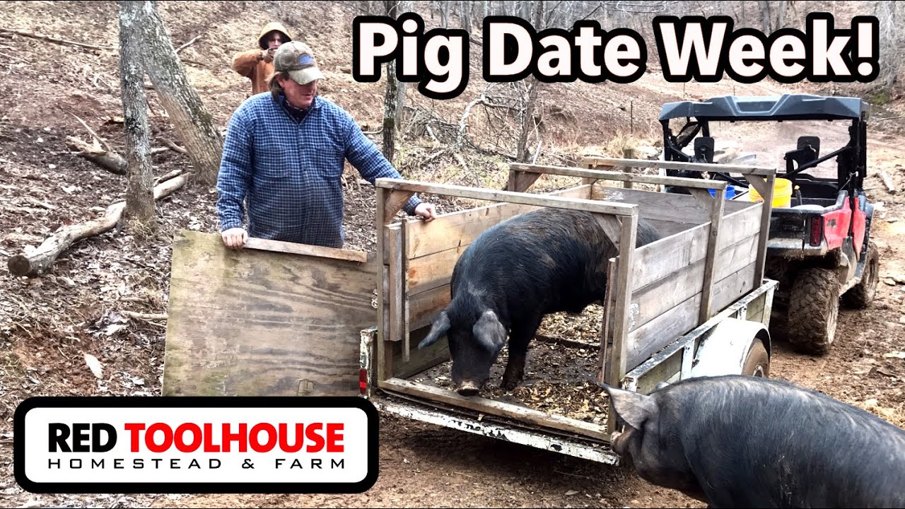 Time to Introduce a BOAR to the SOWS (On Farm Transport)