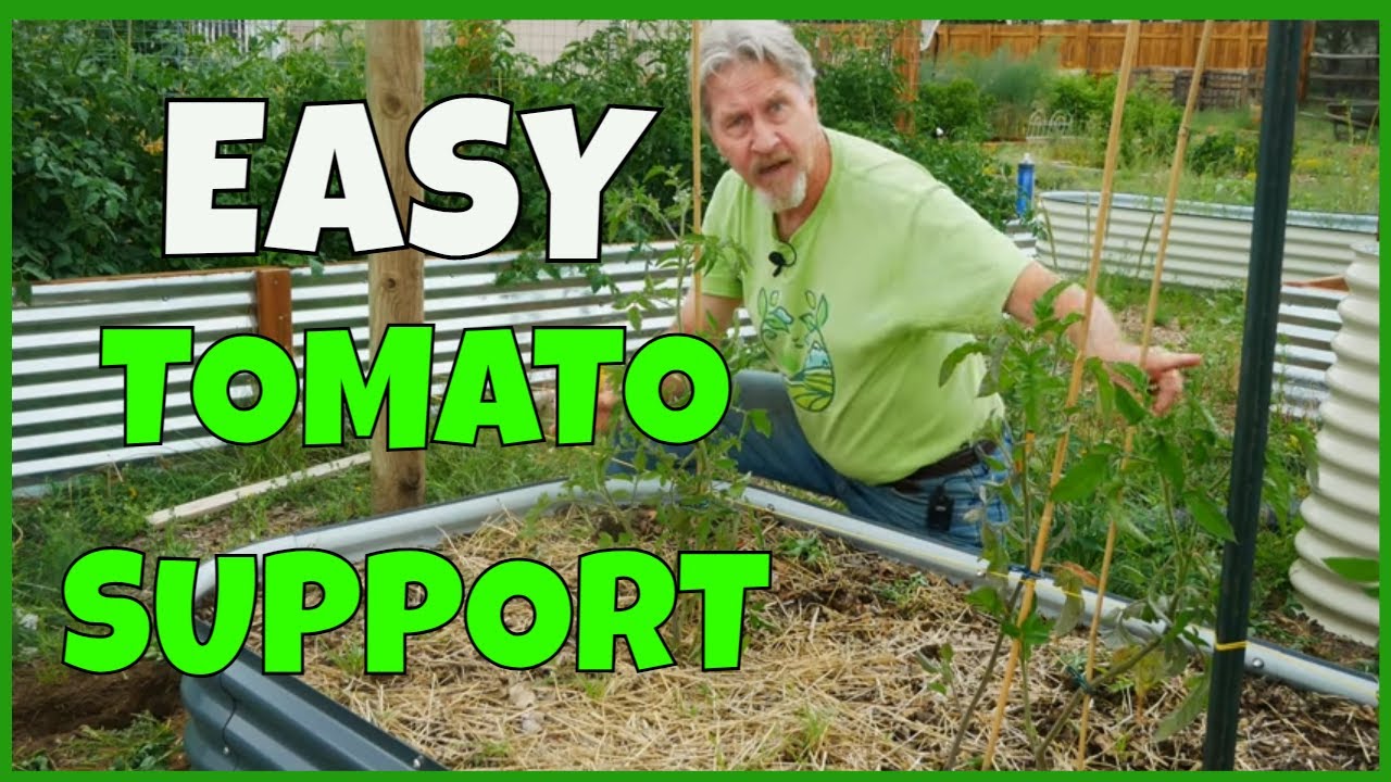 Tie Up Tomatoes for More Support (Florida Weave)