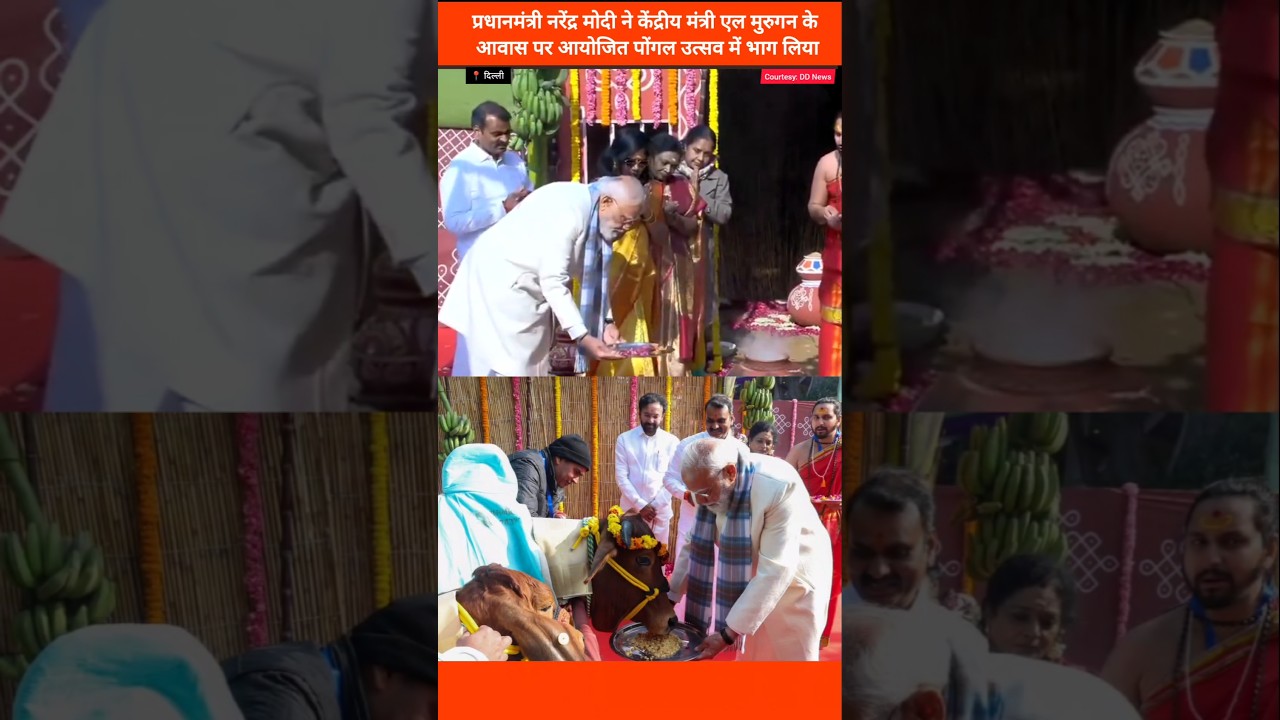 PM Narendra Modi attends Pongal celebrations at the residence of Union Minister L Murugan in Delhi.