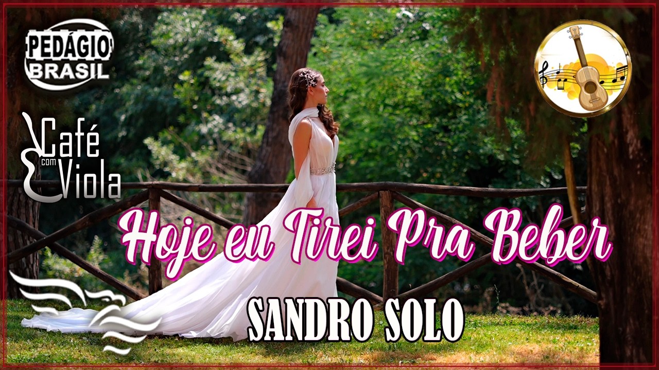Hoje Eu Tirei Pra Beber - SANDRO SOLO  (lyrics/letras)