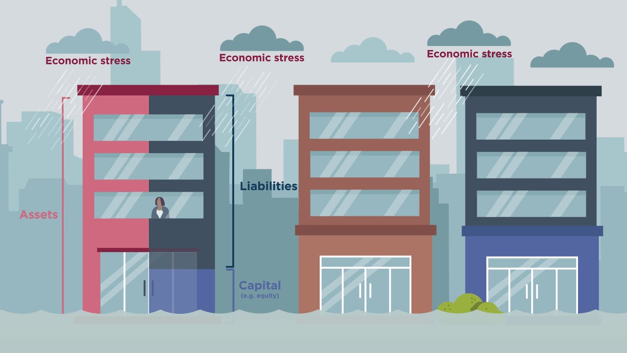 What is capital adequacy?