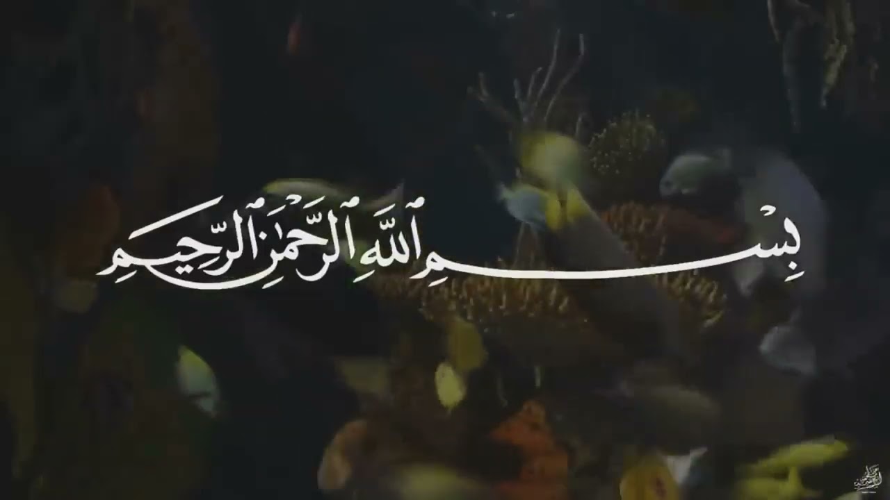 Qari Abdul Basit recitation of surah Yasin 
