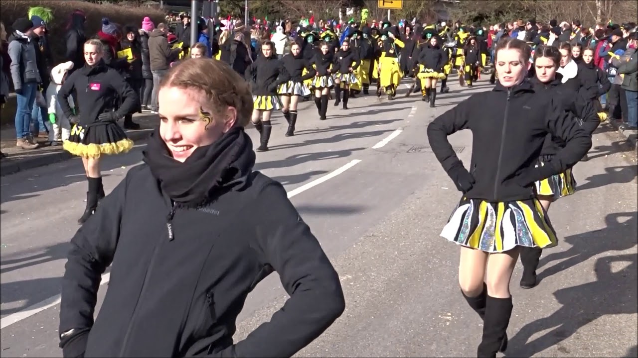 Faschingsumzug Neresheim 2018