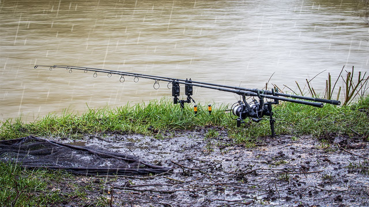 Day Ticket Carp Fishing an Old Estate Lake 🇬🇧