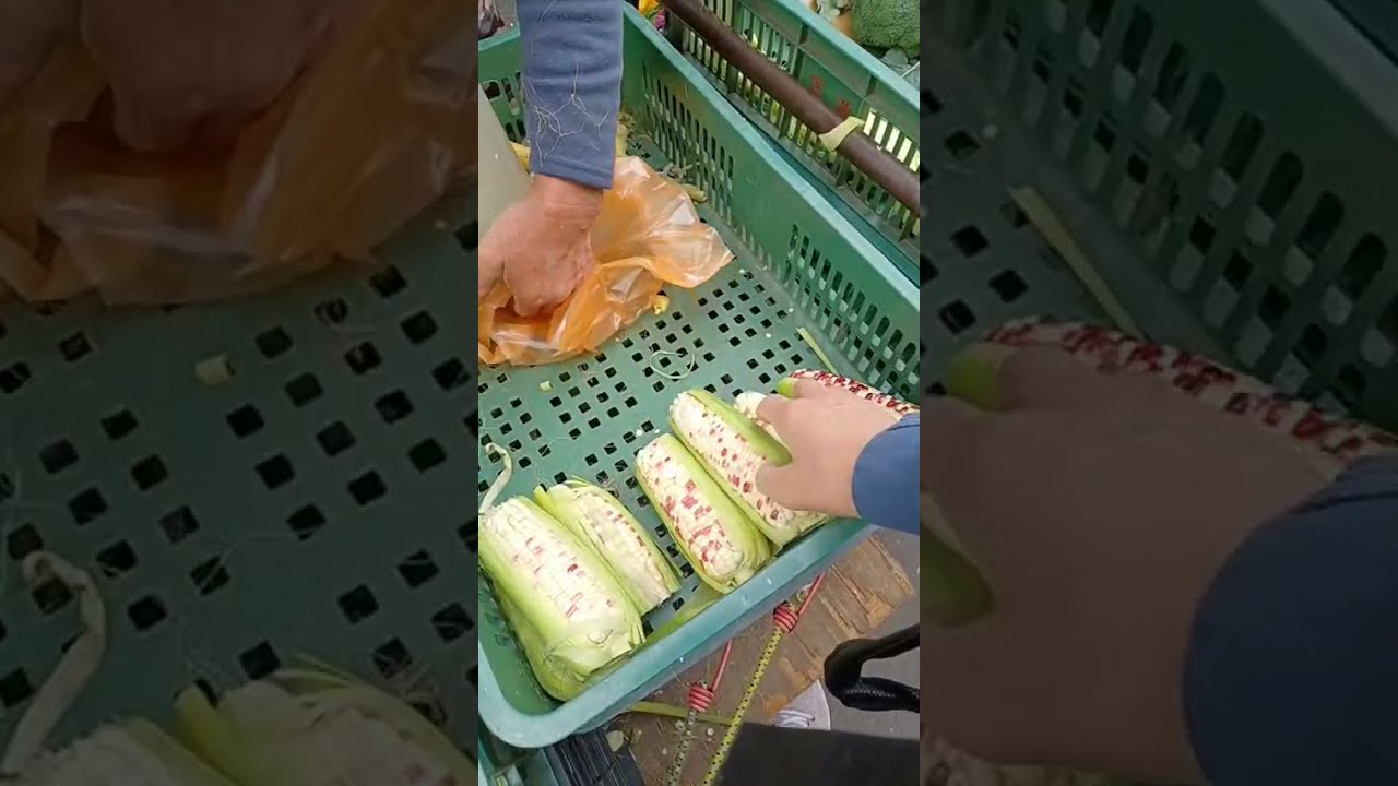 第一攤7隻100再多1隻   第二攤7隻50   能不加購🤣「喝茶聊天」正在直播！