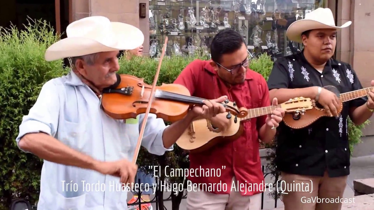 Trío Tordo Huasteco - El Campechano y la Petenera