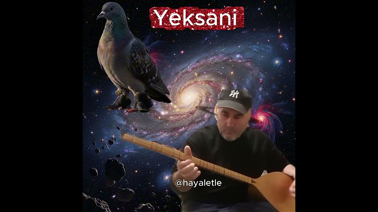 Sazda Akort Yeksani Düzenini Tanıyalım 6 #bağlama #saz #türkü #müzik #egzersiz #sazkomando #akortlar