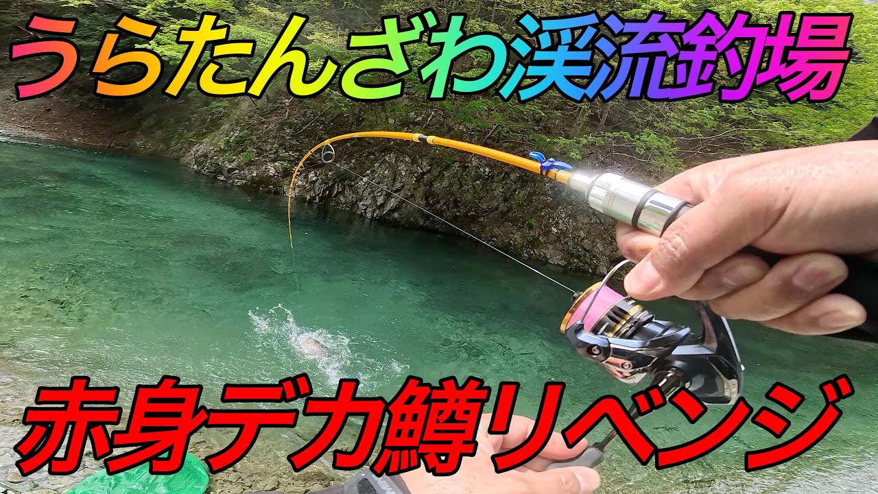 【TK Fishing Video】赤身のデカ鱒が食べたくて再びハンターカブでうらたんざわへ_ CT-125 JA65　＃ハンターカブ　＃エリアトラウト　＃うらたんざわ渓流釣場