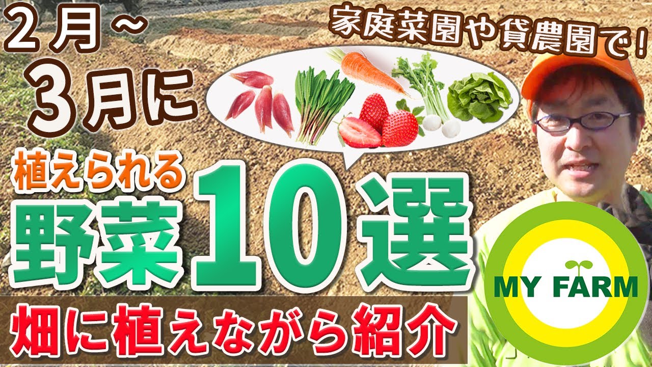 3月に種まき・苗植えできる野菜10選！実際に植えながら紹介します｜初心者向け菜園ムービー