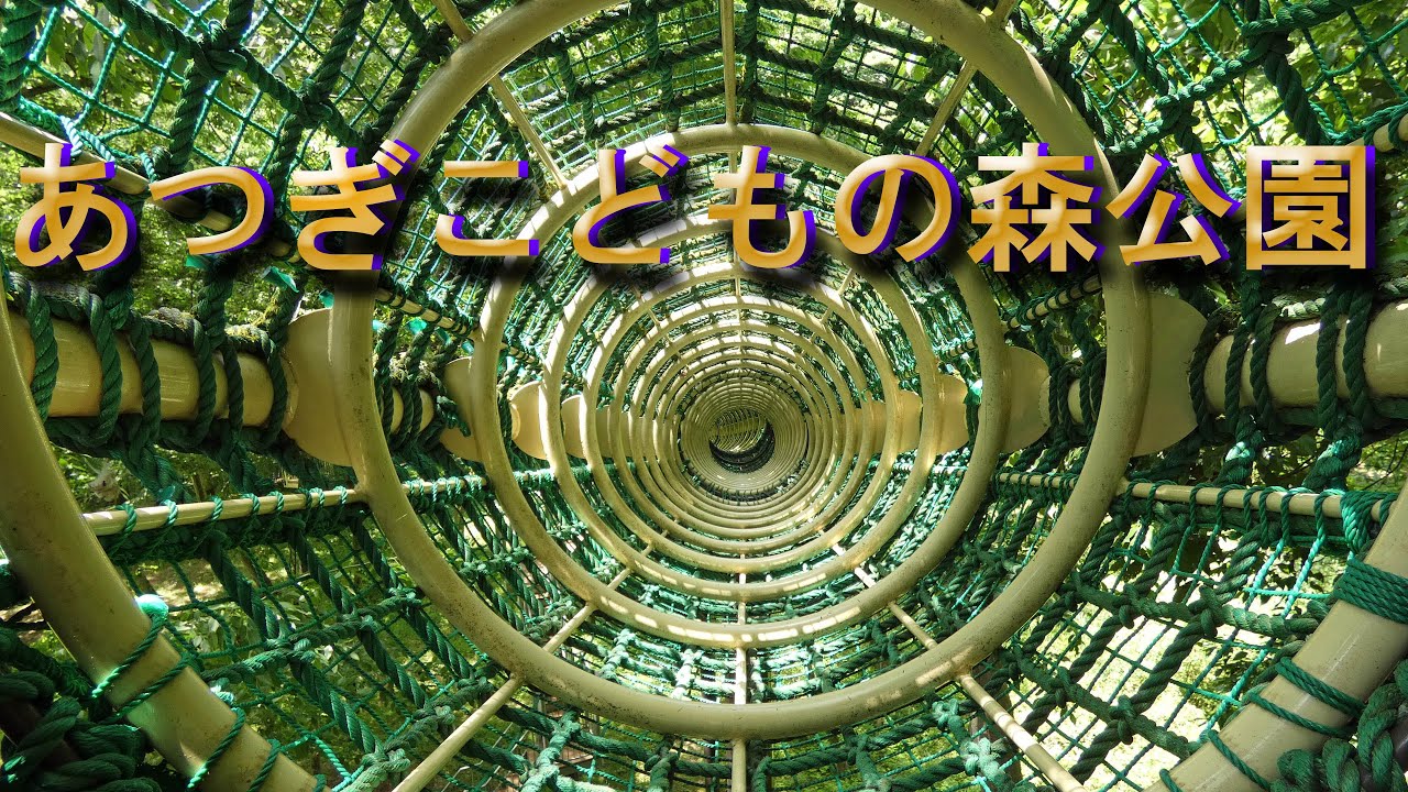 あつぎこどもの森公園ー空中回廊　2025.05.20.