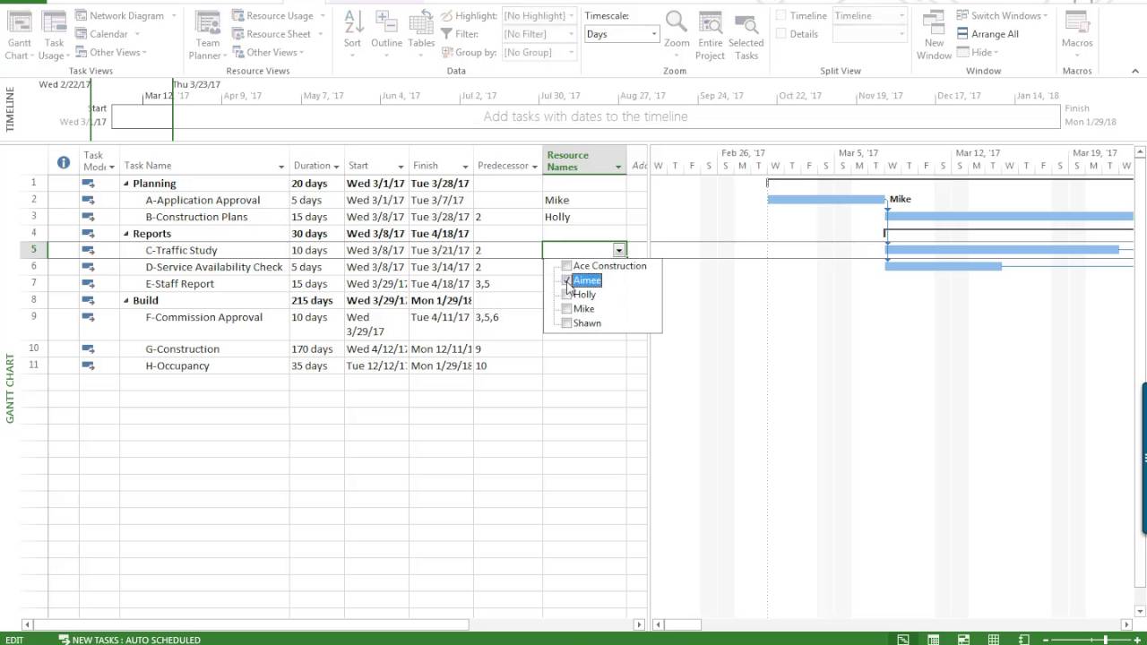 MS Project Setting Up Resources