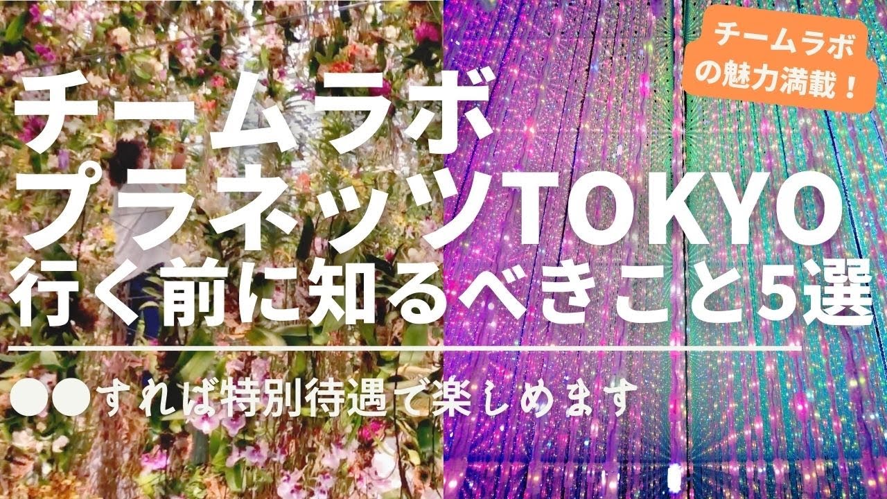 チームラボ プラネッツTOKYO 行く前に知っておくべき5選 え？VIP待遇で楽しめちゃうの!?【豊洲】