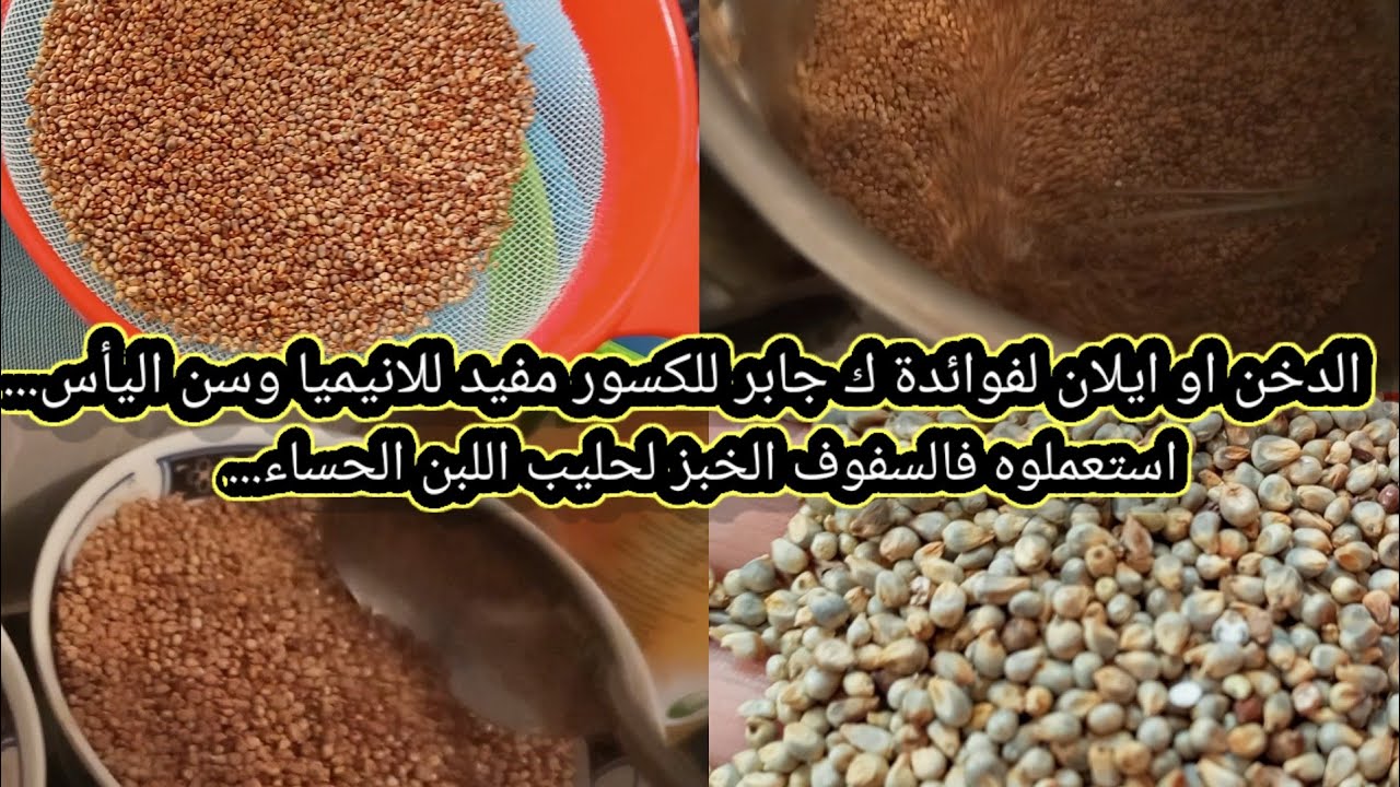 تحضيرات رمضانية.طريقة تنقية و تحمار ايلان(الدخن) .وفوئذه يعالج فقر الدم السرطان سن اليأس وهشاشةلعظام