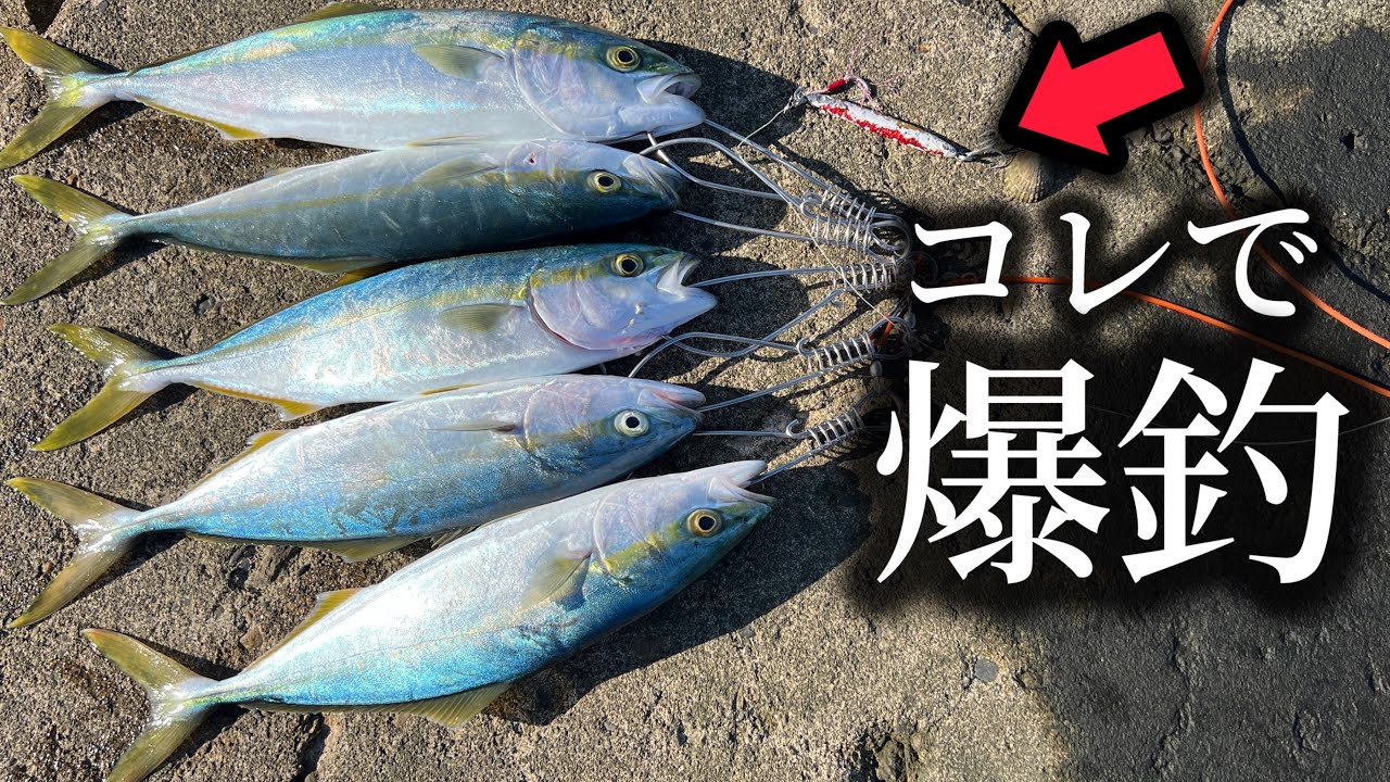ボロボロのルアーでも問題なし！？冬の青物釣行！