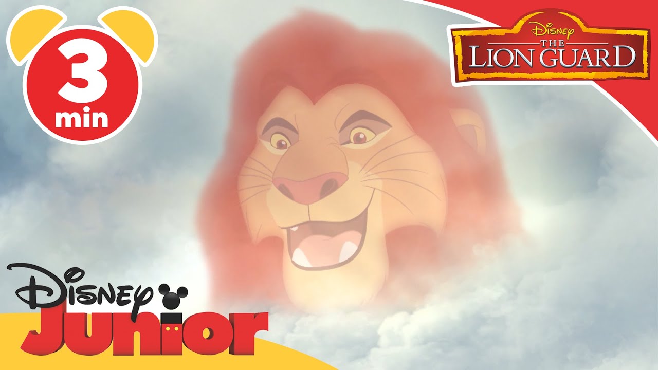 The Lion Guard | Bunga the Wise | @disneykids