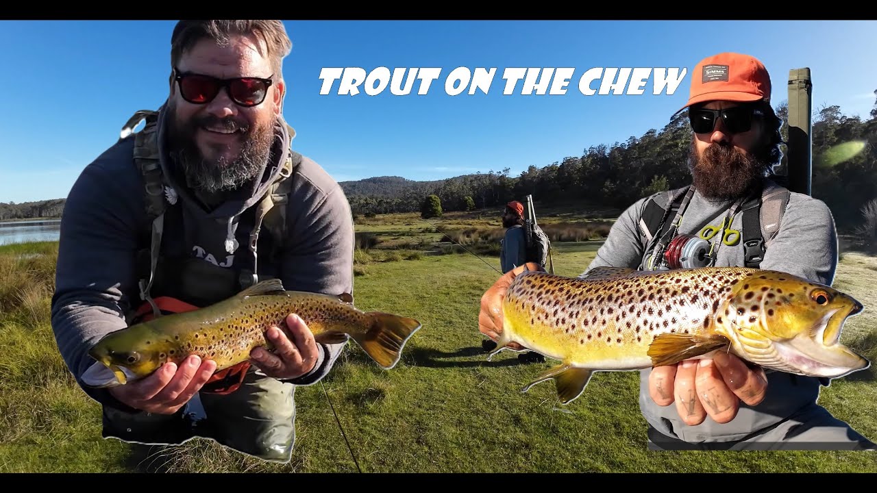 Fly Fishing For Big Tasmania Browns